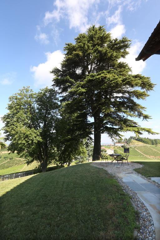 Villa Bricco Paglieri, Entire Villa Alba  Dış mekan fotoğraf